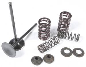 INTAKE VALVE/SPRING KIT STAINLESS STEEL