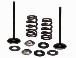 SS INTAKE VALVE/SPRING KIT