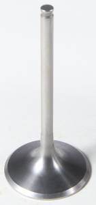 INTAKE TI VALVE