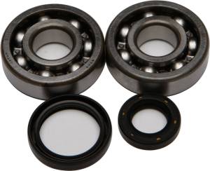 CRANKSHAFT BEARING/SEAL KIT