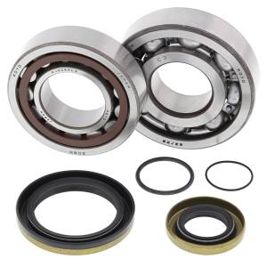 CRANKSHAFT BEARING / SEAL KIT GAS