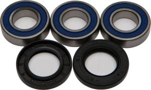 REAR WHEEL BEARING/SEAL KIT