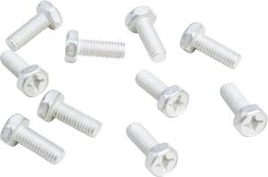 BOLTS 6MM X 16MM 10/PK