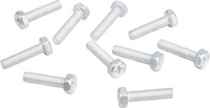 BOLTS 6MM X 24MM 10/PK