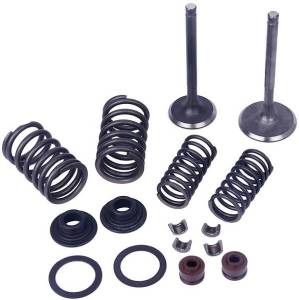 VALVE KIT V-200