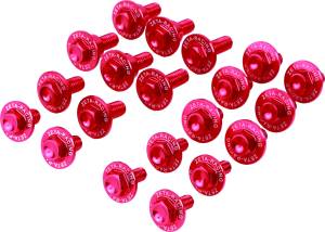 ALUMINUM BOLT KIT RED