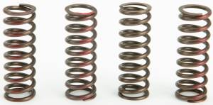 CLUTCH SPRINGS