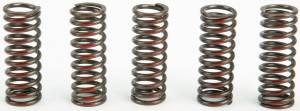 CLUTCH SPRINGS