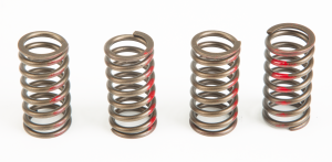 CLUTCH SPRINGS