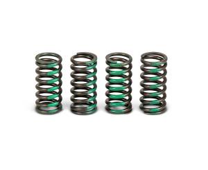 CLUTCH SPRINGS