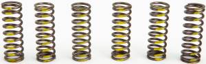 CLUTCH SPRINGS