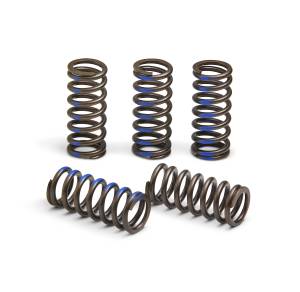 CLUTCH SPRINGS