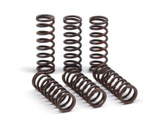 CLUTCH SPRINGS PRO CIRCUIT