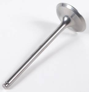 EXHAUST VALVE