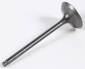 EXHAUST VALVE