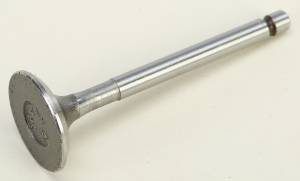 EXHAUST VALVE