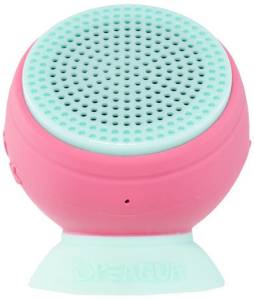 BARNACLE PLUS WATERPROOF SPEAKER (QUINCY PRO MODEL)