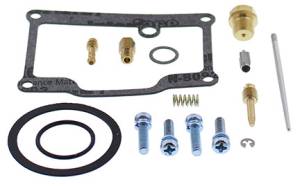 CARBURETOR REBUILD KIT