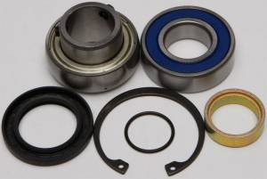 CHAIN CASE BEARING & SEAL KIT