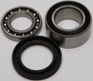 CHAIN CASE BEARING & SEAL KIT