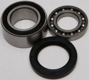 CHAIN CASE BEARING & SEAL KIT