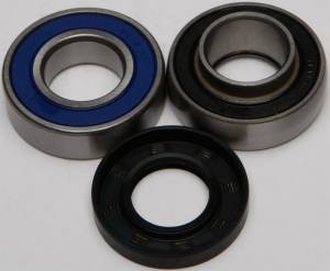 CHAIN CASE BEARING & SEAL KIT