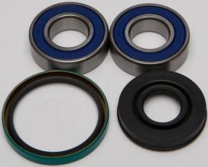 CHAIN CASE BEARING & SEAL KIT