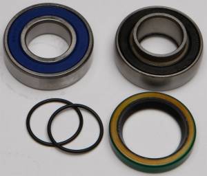 CHAIN CASE BEARING & SEAL KIT