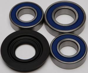 CHAIN CASE BEARING & SEAL KIT