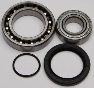 CHAIN CASE BEARING & SEAL KIT