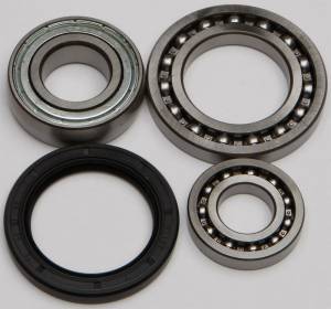 CHAIN CASE BEARING & SEAL KIT