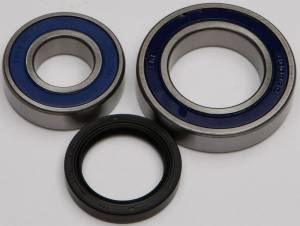 CHAIN CASE BEARING & SEAL KIT