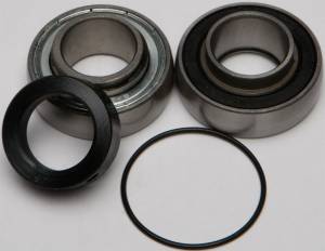 CHAIN CASE BEARING & SEAL KIT