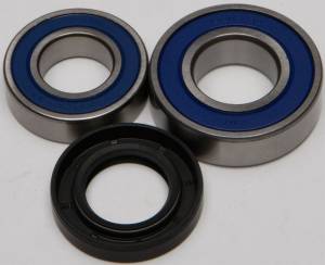 CHAIN CASE BEARING & SEAL KIT