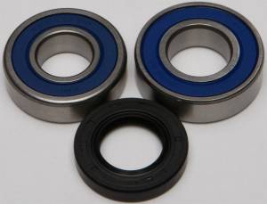 CHAIN CASE BEARING & SEAL KIT