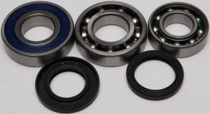 CHAIN CASE BEARING & SEAL KIT