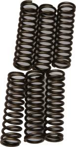 CLUTCH SPRINGS CSK109