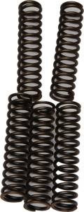 CLUTCH SPRINGS CSK110