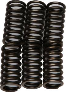 CLUTCH SPRINGS CSK111