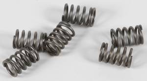 CLUTCH SPRINGS CSK114