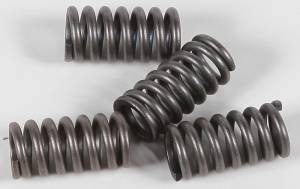 CLUTCH SPRINGS CSK12