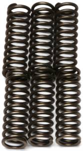 CLUTCH SPRINGS CSK125