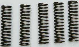 CLUTCH SPRINGS CSK128