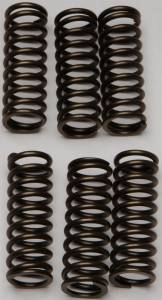 CLUTCH SPRINGS CSK145