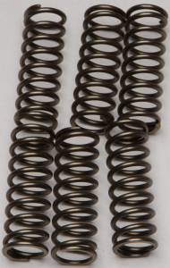 CLUTCH SPRINGS CSK160