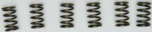 CLUTCH SPRINGS CSK171