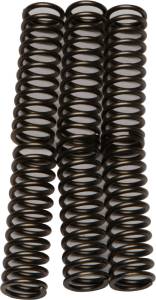 CLUTCH SPRINGS CSK183