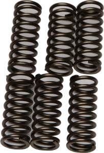 CLUTCH SPRINGS CSK196