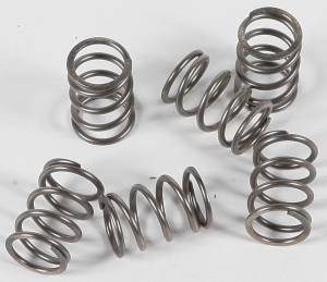 CLUTCH SPRINGS CSK197