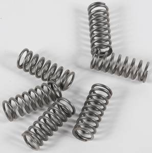 CLUTCH SPRINGS CSK198